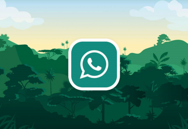 GBWhatsApp Pro APK: What are the Features of GB WhatsApp Pro?