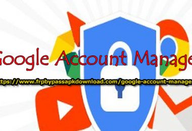 Google Account Manager