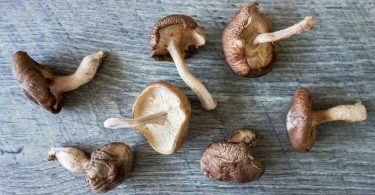 About Black (Shiitake) Mushrooms