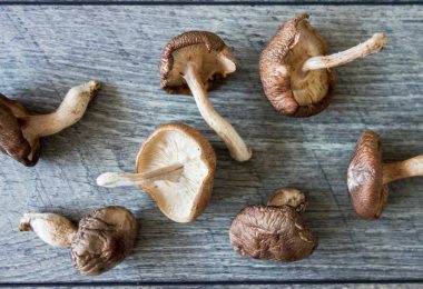 About Black (Shiitake) Mushrooms