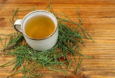 Pine Needle Tea