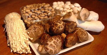 What Are Shimeji Mushrooms?