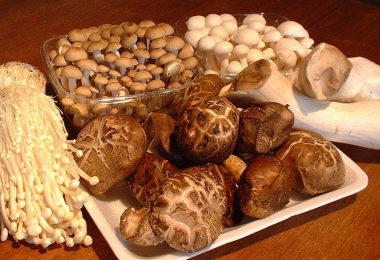 What Are Shimeji Mushrooms?