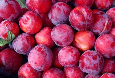 What Is A Plum?