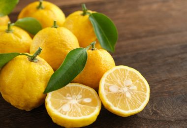 What Is Yuzu?